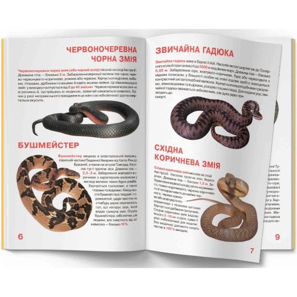 Фото - Crystal Book Большая книга. Ядовитые змеи (9789669870322)